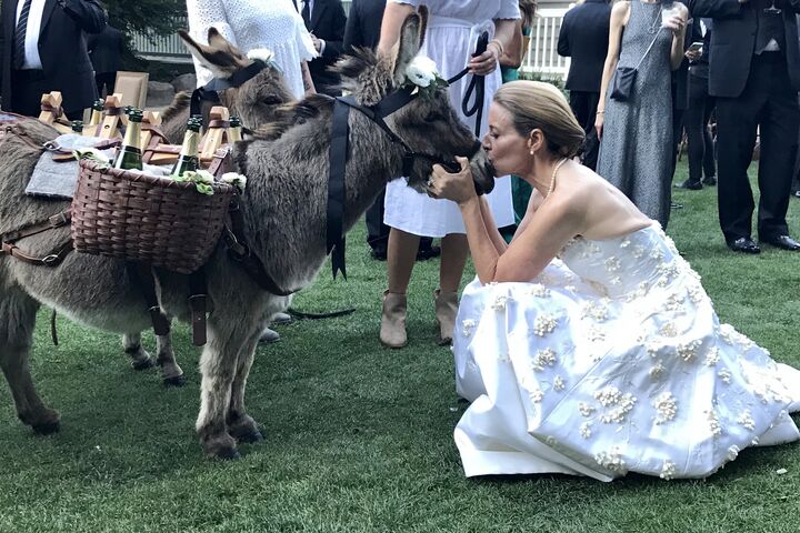 Little Burro Events