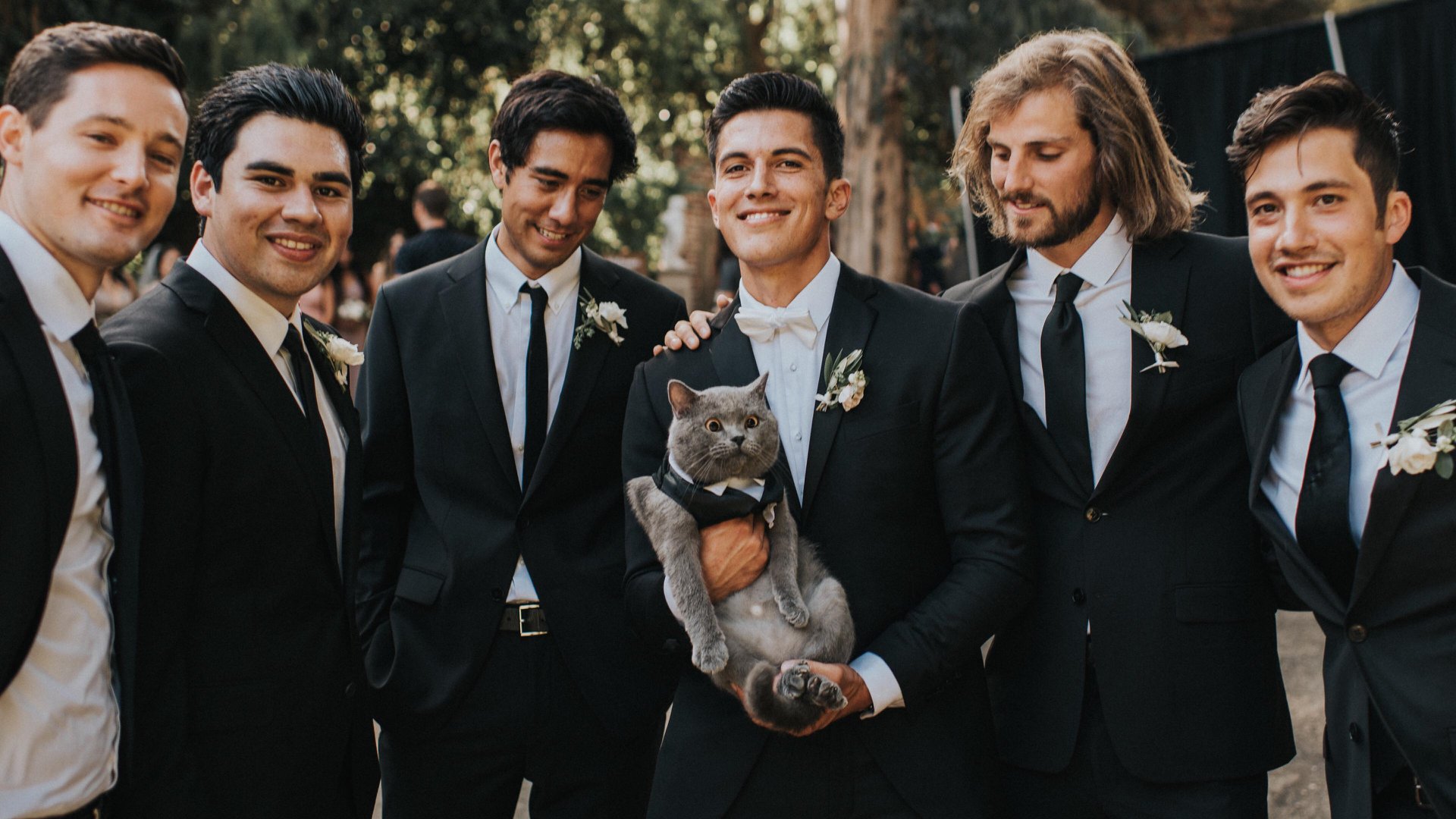 Groom Makes His Cat His Best Man