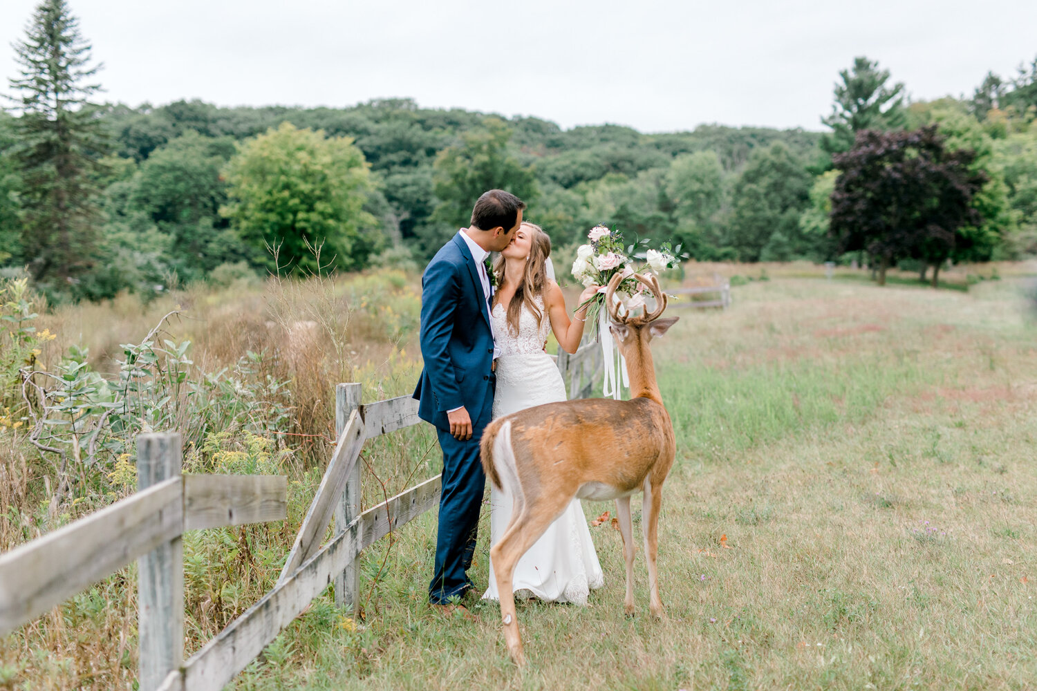 Deer Photobombs Wedding To Eat Bride’s Bouquet