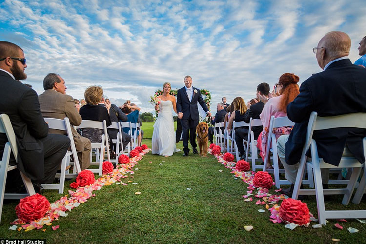 Wounded Veteran Picks His Service Dog To Be His Best Man At The Wedding