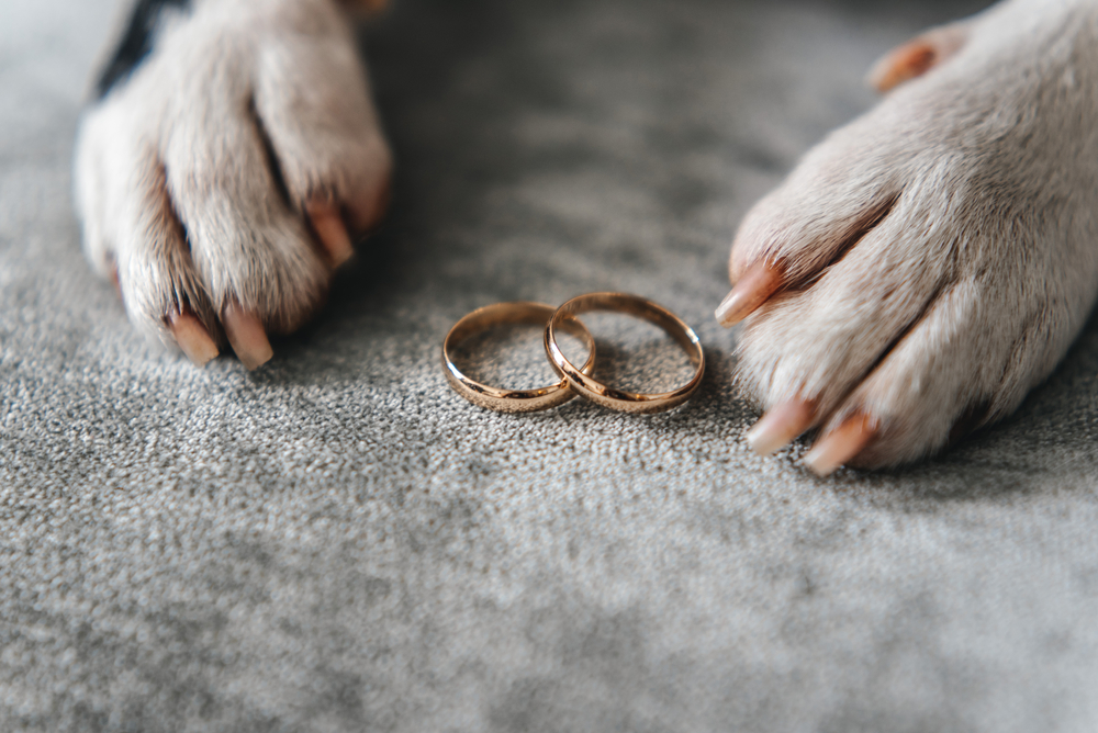 Why you should get your engagement ring insured, especially if you have a dog
