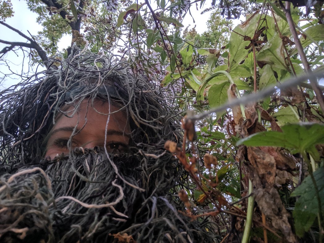 Woman Dresses Up As A Bush To Capture Sister’s Proposal